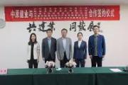 Kaiyuan-关于建业再战失败，积分一落千丈的信息