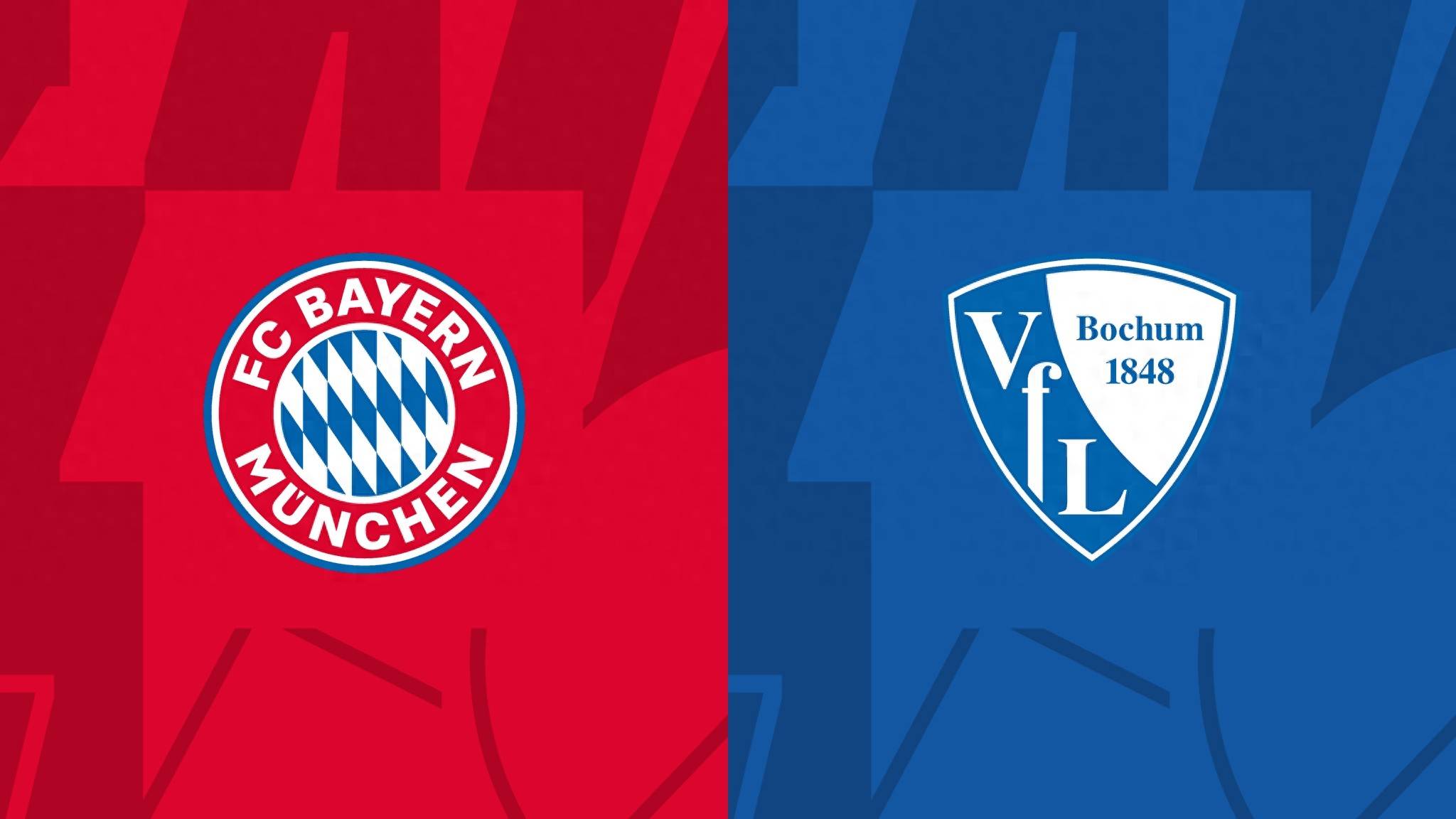 关于波鸿球队主场胜利,球队士气高涨的信息 关于波鸿球队主场胜利,球队士气高涨的信息