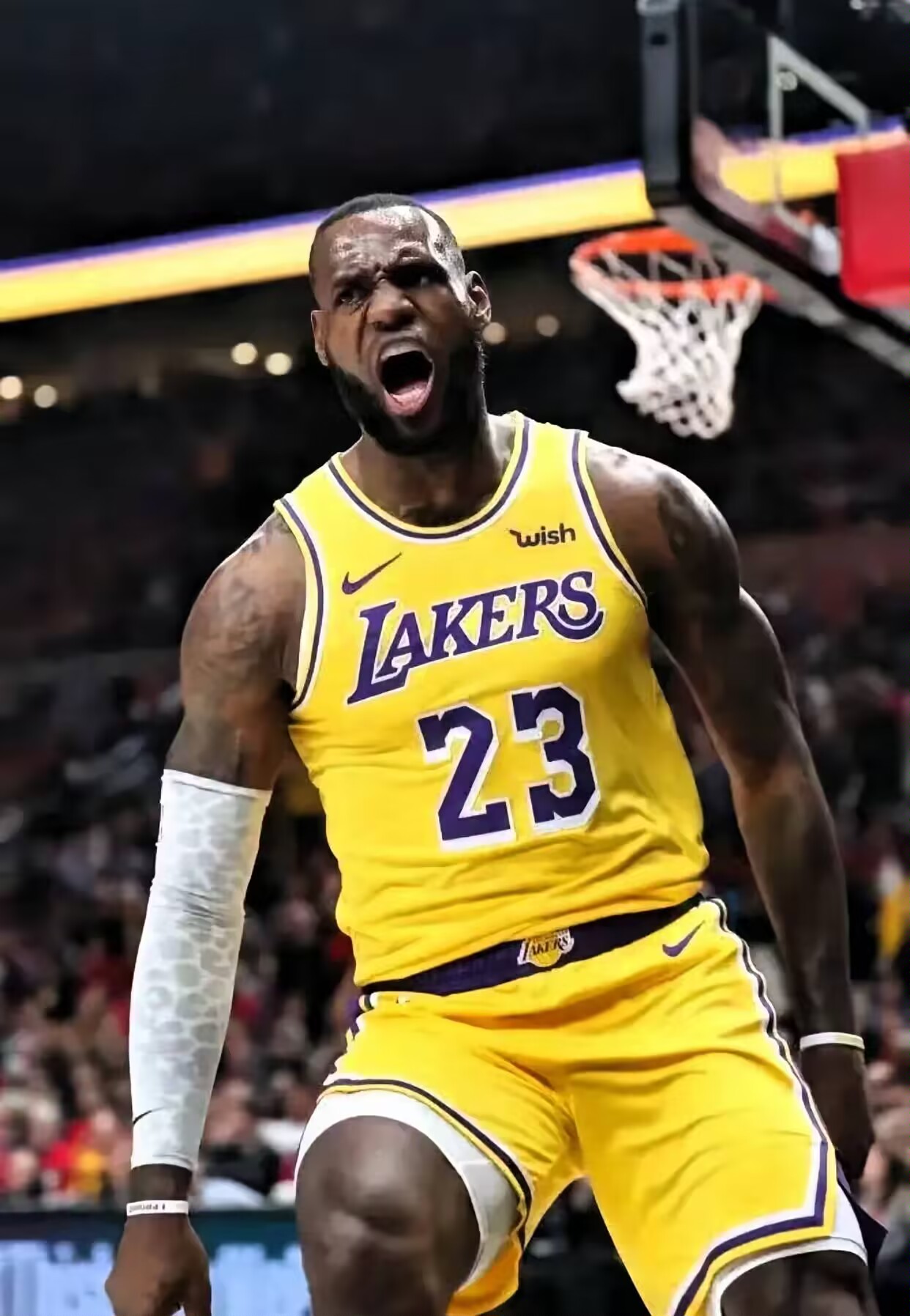 湖人逆转灰熊,詹姆斯22分 湖人逆转灰熊,詹姆斯22分