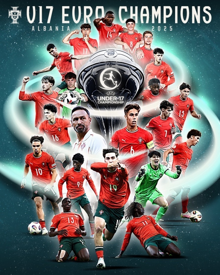 葡萄牙队完胜波兰队，波尔关键制胜的简单介绍